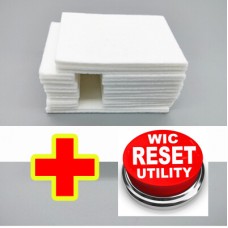 Almofada de Tinta para Epson c/ Caixas de Manutenção 1607470 + Chave para reiniciar os contadores 