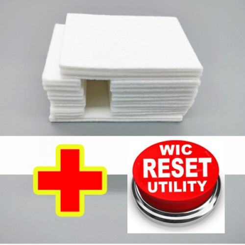 Almofada de Tinta para Epson c/ Caixas de Manutenção 1607470 + Chave para reiniciar os contadores 