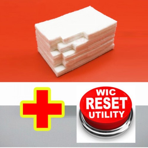 Almofada de Tinta para Epson c/ Caixas de Manutenção 1611102 + Chave para reiniciar os contadores