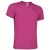 Rosa magenta