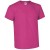 Rosa magenta